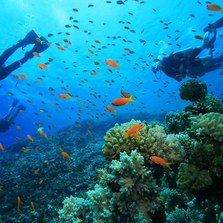 Uga Bay - Pasikuda Otel Passikudah Dış mekan fotoğraf