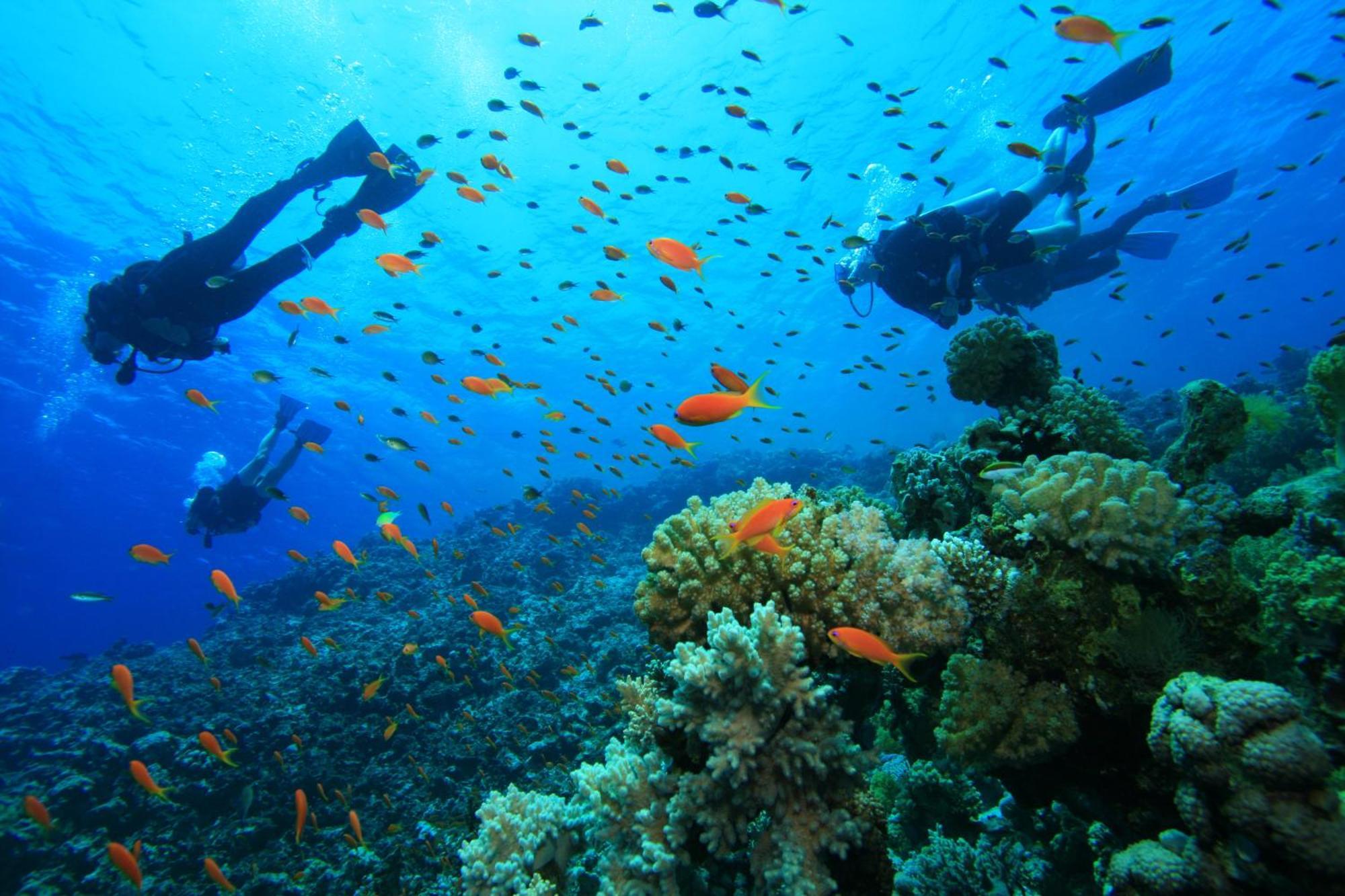 Uga Bay - Pasikuda Otel Passikudah Dış mekan fotoğraf